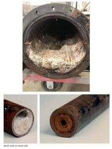 Biofilm and Scale inside of water pipes